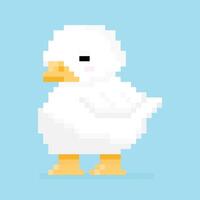 Cute pixel art duck isolated on blue background, illustration of cartoon Duck pixel vector