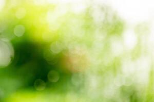 Abstract colorful nature gradient blurred background. Summer banner. Digital Grain Noise Texture overlay. Multicolor vintage retro design. Vibrant Texture Wallpaper,design,graphic and presentation photo