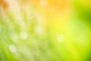 Abstract colorful nature gradient blurred background. Summer banner. Digital Grain Noise Texture overlay. Multicolor vintage retro design. Vibrant Texture Wallpaper,design,graphic and presentation photo