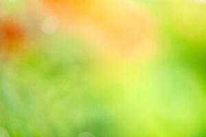 Abstract colorful nature gradient blurred background. Summer banner. Digital Grain Noise Texture overlay. Multicolor vintage retro design. Vibrant Texture Wallpaper,design,graphic and presentation photo