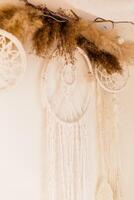 Dreamcatchers and Dried Pampas Grass on Wall photo