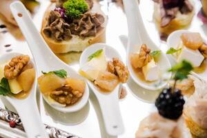 Gourmet Appetizers with Walnuts and Cheese photo