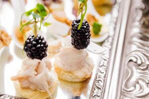 Elegant Appetizers with Blackberry Garnish photo