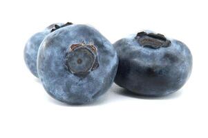 Close-up of fresh blueberries on a white background photo