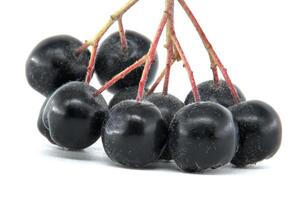 Black chokeberry clusters isolated on white background for natural and healthy food concepts photo