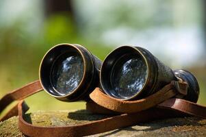 Vintage binoculars resting on a tree stump in a peaceful forest setting photo