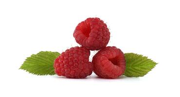 Fresh ripe raspberries with green leaves isolated on white background photo
