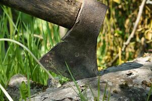 Close-up of an axe embedded in wood surrounded by green grass photo