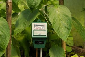 Measure soil with three way digital device photo