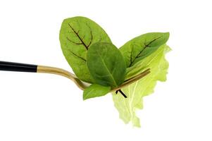 Fresh green tone of the lettuce leaves on gold fork isolated on white photo