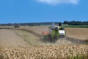 Modern combine harvester in action on a golden wheat field under a clear blue sky photo