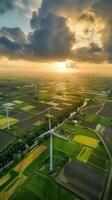 Windmill park in the Netherlands, aerial view with symmetrical turbines and vibrant sunset over agricultural land, eco-friendly and serene atmosphere. Windmill park clean energy nehterlands photo