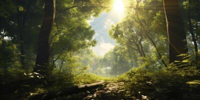 Peaceful Morning With Sunlight In Forest. Woods Path With Rays Of Sunshine And Green Trees. photo