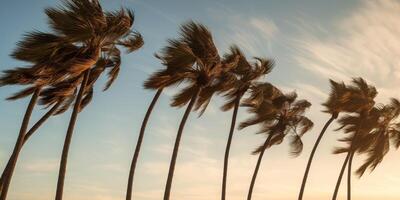 Palm Trees Silhouetted by Evening Light. Ocean Landscape. photo