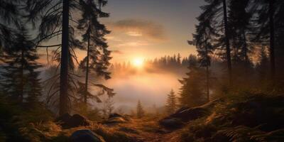 Golden Sunlight Shine Through Fog Over Forest Trail at Dawn. Magical Morning Sun Rays In Mist Forest. photo