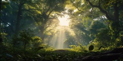 Forest Glade Illuminated by Morning Light. Lush Greenery With Sunbeams in Forest. Calmness In Nature. photo