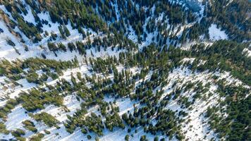 Aerial view on trees covered with snow in Hallstatt, Austria. Top view on forest in winter photo