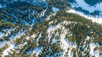 Aerial view on trees covered with snow in Hallstatt, Austria. Top view on forest in winter photo