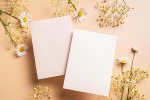 Empty blank cards and chamomile flowers photo