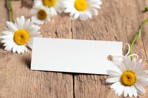 Chamomile flowers with empty white paper tag photo