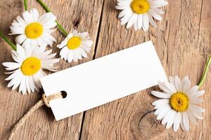 Chamomile flowers with empty white paper tag photo