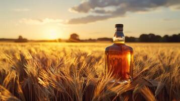 A bottle of whiskey in a golden wheat field at sunset. photo