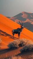 Lone antelope with long, elegant horns standing amidst the sprawling sand dunes of a vast desert, showcasing the raw beauty and serenity of nature. photo