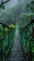 A suspension bridge stretches through a misty, lush forest, surrounded by dense green foliage, creating a serene and mystical atmosphere, evoking adventure and tranquility. photo