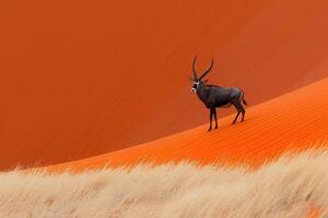 Lone antelope with long, elegant horns standing amidst the sprawling sand dunes of a vast desert, showcasing the raw beauty and serenity of nature. photo