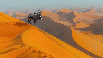Lone antelope with long, elegant horns standing amidst the sprawling sand dunes of a vast desert, showcasing the raw beauty and serenity of nature. photo