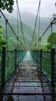 A suspension bridge stretches through a misty, lush forest, surrounded by dense green foliage, creating a serene and mystical atmosphere, evoking adventure and tranquility. photo
