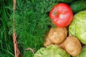 Vegetables and greens in a wicker box. Tomato, potato, cabbage and dill. photo