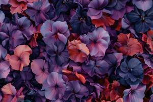 A calico texture background features a rough, yet charmingly rustic surface with small, floral patterns photo