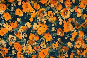 A calico texture background features a classic, small-scale floral pattern on a soft, slightly textured fabric photo