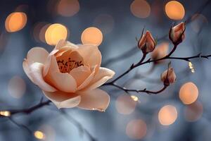 A delicate peach fuzz-colored flower blooms amid small buds and glowing lights, set against a softly blurred background photo