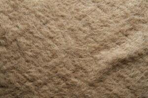 A felt texture background offers a soft, dense, and slightly fuzzy surface photo