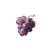 Photo of red grapes floating on a transparent background png