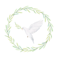 acuarela blanco paloma y aceituna sucursales. blanco aves en laurel guirnalda. Paloma acortar Arte. mano dibujado ilustración aislado en antecedentes. decorativo diseño elementos png