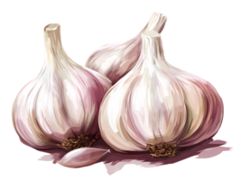 three garlic bulbs on a transparent background png