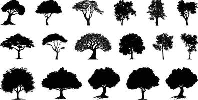Set of Tree collection vector