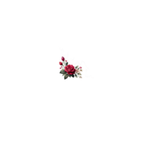 un rojo Rosa en un transparente antecedentes png