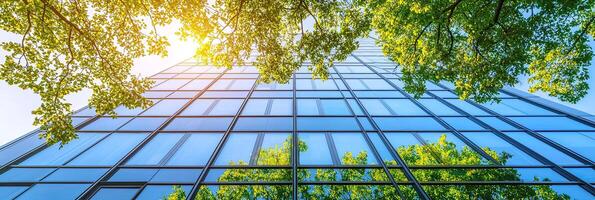 Modern office building with green leaves. Bottom view of modern skyscrapers in business district. Business concept photo