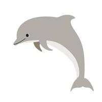 dolphin hand drawing illustration on white background vector
