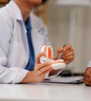 Dentist consultation - patient visit at the dental clinic office. Female dentist wearing dentures to explain teeth Recommend guidelines for orthodontics Dentist giving advice on patient's condition photo