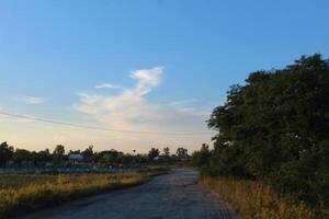Sand Road in sunset light, trees and grass on the side of the road. The concept of a summer journey through the cemetery photo