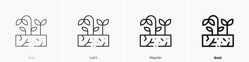 drought icon. Thin, Light, Regular And Bold style design isolated on white background vector