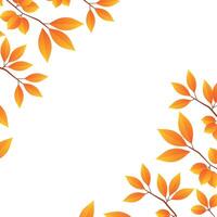 Branches with yellow leaves autumn on a white background vector