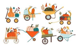 Wheelbarrow with colorful pumpkins. Autumn harvest. Preparation for Halloween. Autumn mood. Leaves fall. flat illustration isolate on white . vector