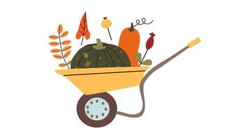 Wheelbarrow with colorful pumpkins. Autumn harvest. Preparation for Halloween. Autumn mood. Leaves fall. flat illustration isolate on white . vector
