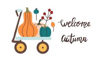 Wheelbarrow with colorful pumpkins. Autumn harvest. Preparation for Halloween. Autumn mood. Leaves fall. flat illustration isolate on white . vector